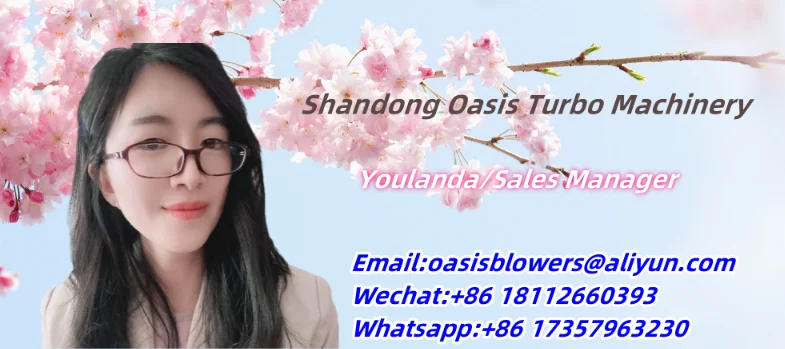 380v Ready to Ship 0.25KW High Pressure Single Stage Three Phase Electric Ring Blower AC A