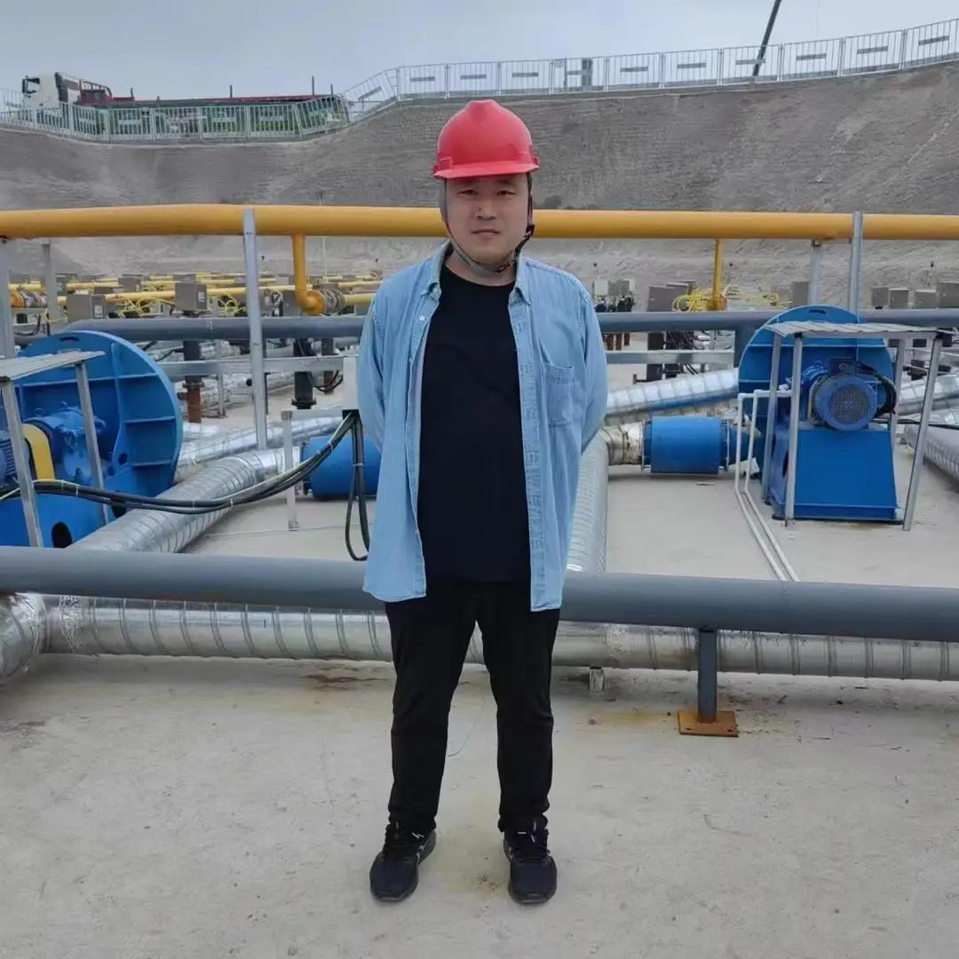 High Pressure Silent Oil-Free Roots Blower Rotary Lobe Design Industrial High Efficiency A