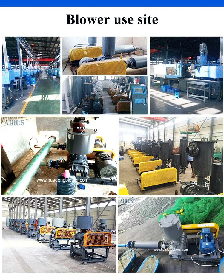 Taiwan Design Roots Blower High Pressure Sewage Blower Electric Powered Roots Blower Air P