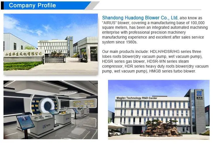 Taiwan Design Roots Blower High Pressure Sewage Blower Electric Powered Roots Blower Air P