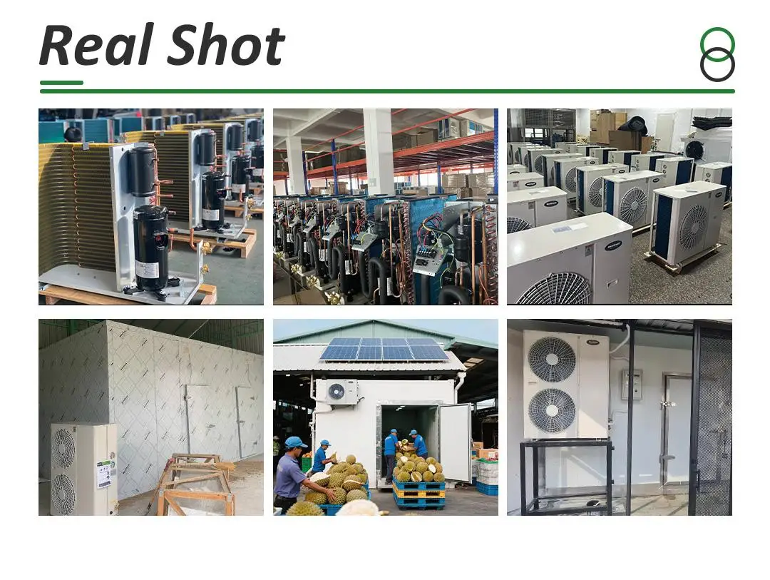 2HP-6HP Refrigeration 220V/380V Heat Exchange Parts Cold Freezer Storage Room Multiple Com
