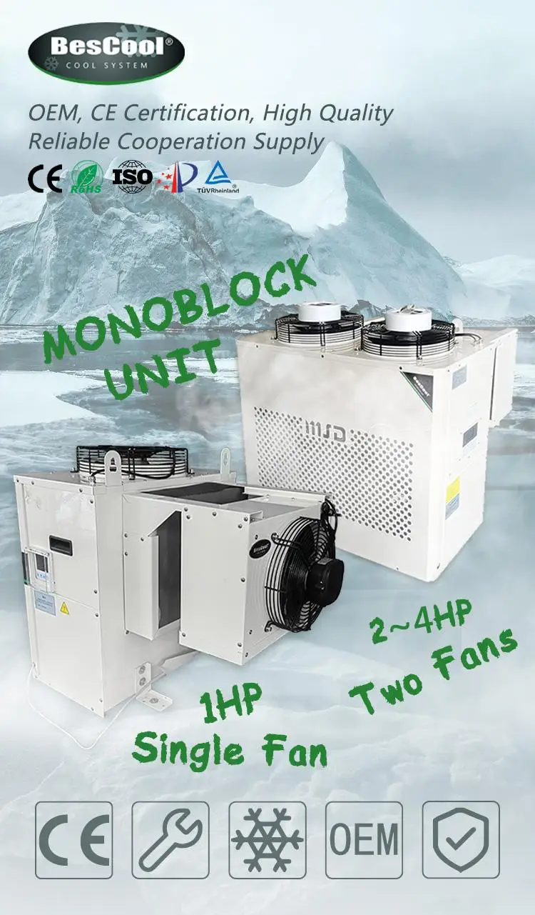 Hot Sale 380v 1-4ph Side-embedded Monoblock Refrigeration Unit for Walk-in Freezer Small C