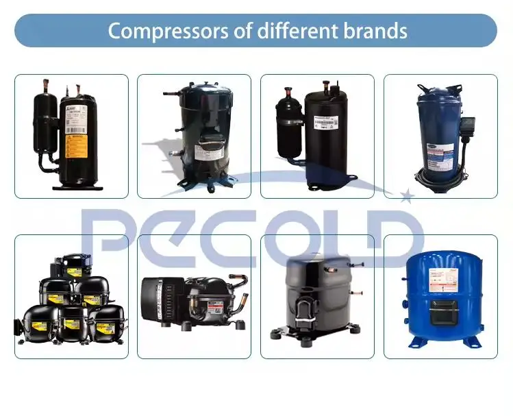 PECOLD Bitzers HSN7471-75-40P CSH9563-210Y-40D Piston Condensing Unit Refrigeration Unit S