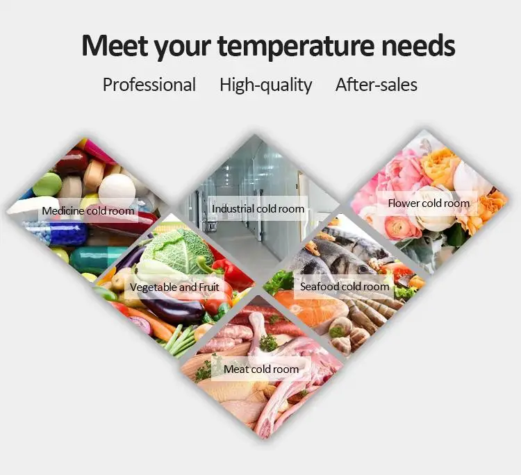 Low Price 3hp Condensing Unit for Blast Freezer Cold Room Storage With Industrial Refriger