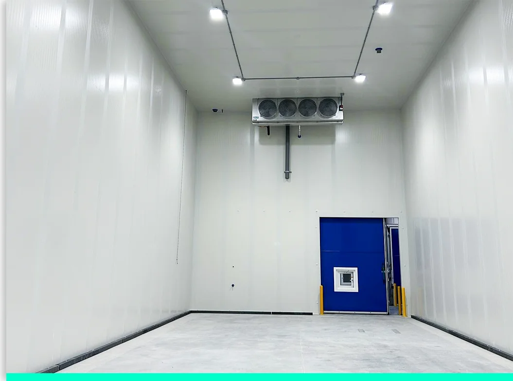 Cold Room Refrigeration Unit Condensing Unit Power Saving Refrigeration Unit for Cold Stor