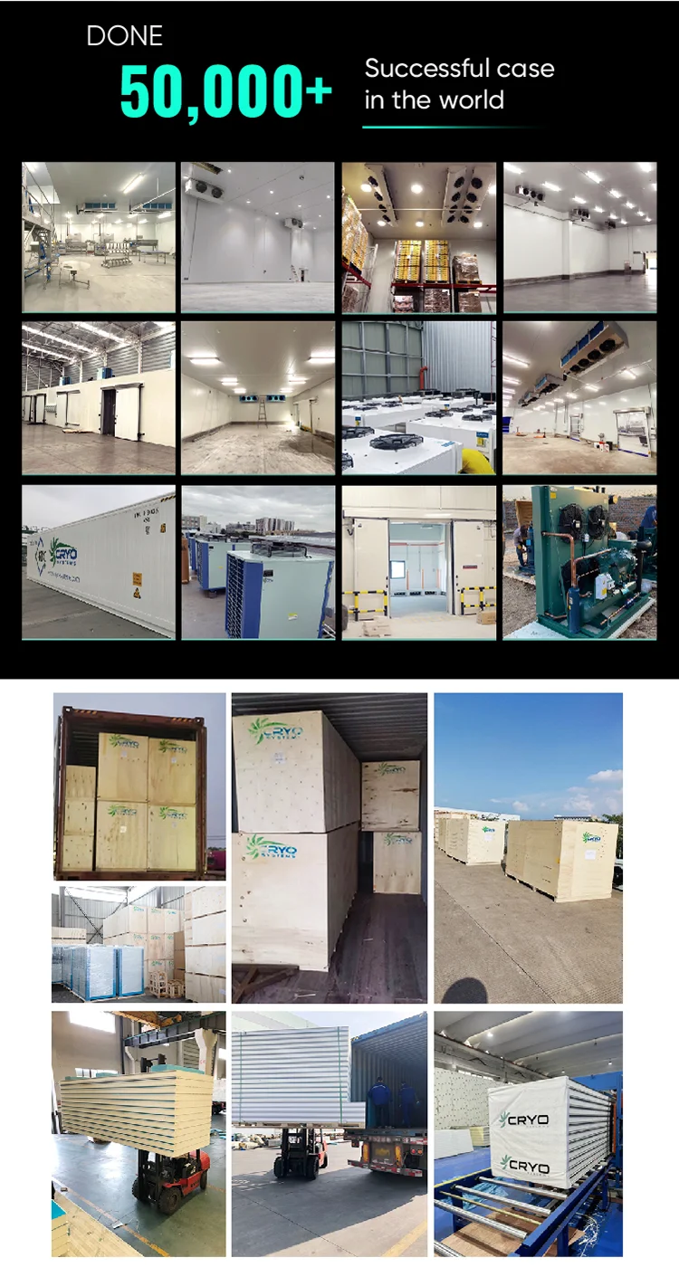 Cold Room Refrigeration Unit Condensing Unit Power Saving Refrigeration Unit for Cold Stor