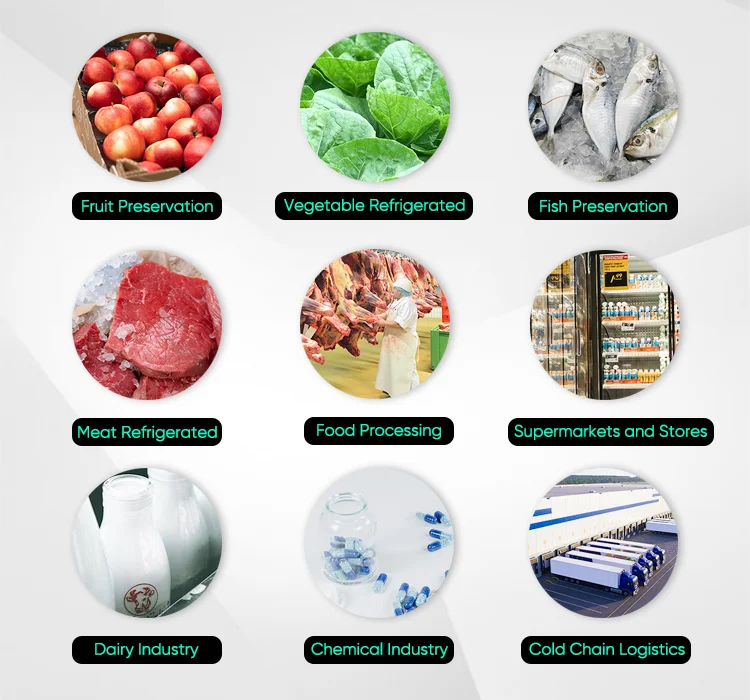 Cold Room Refrigeration Unit Condensing Unit Power Saving Refrigeration Unit for Cold Stor