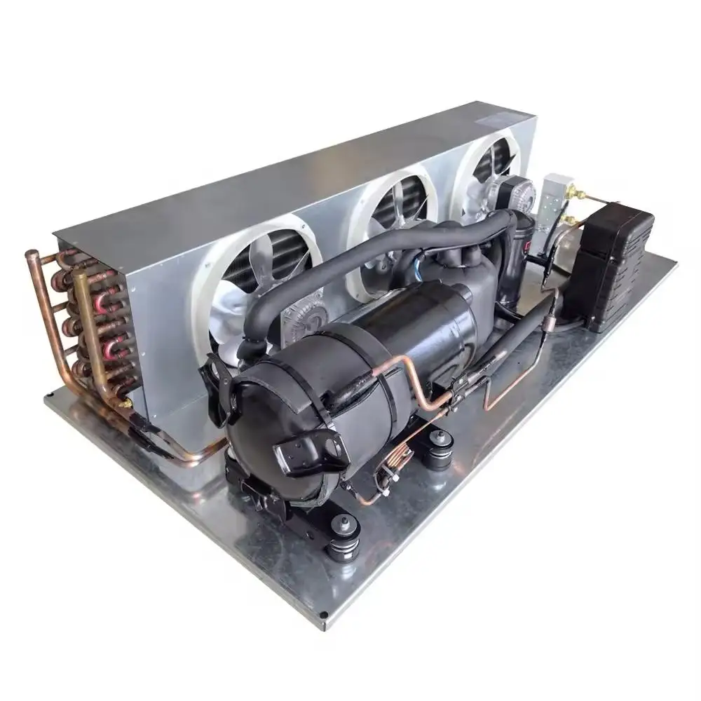 High Quality Cooling Condensing Unit Refrigeration Equipment for Walk-in Chiller