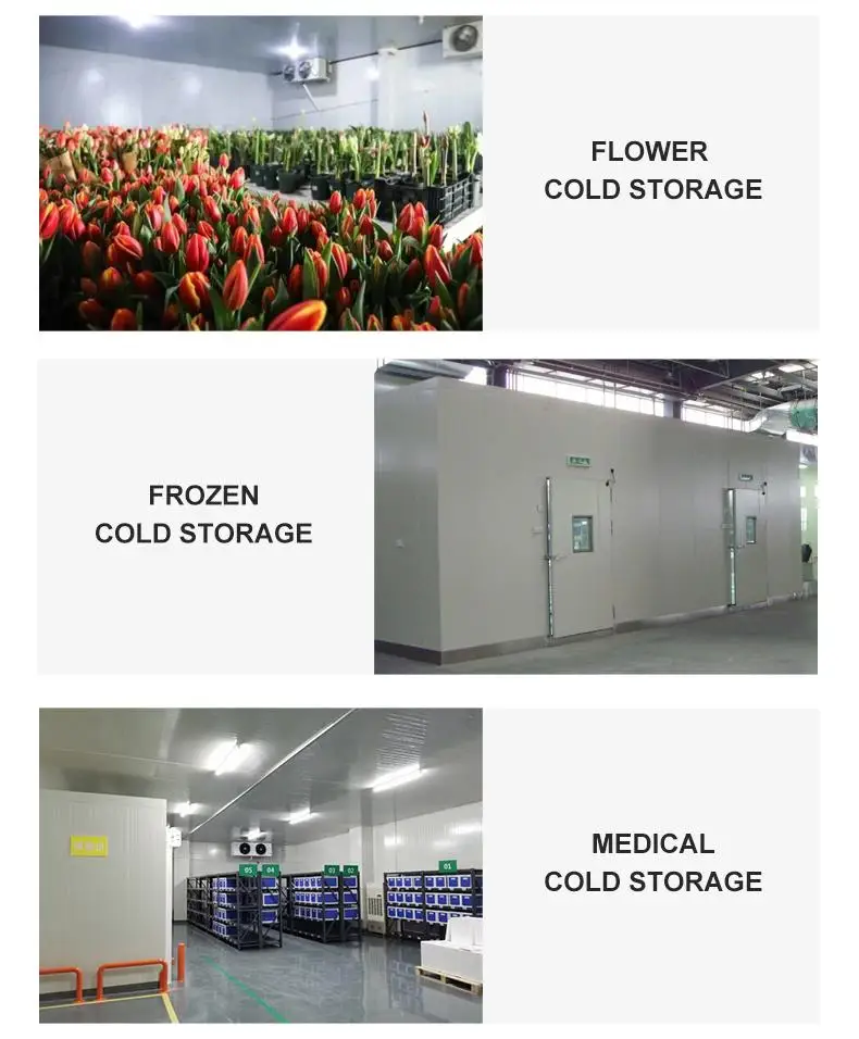 Factory Selling Cold Room Refrigeration Unit Low Price High Temperature Low Temperature Co