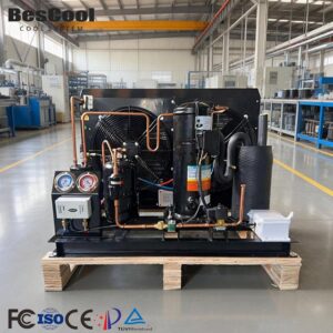 2-3HP Inverter Condensing Unit, Air Cooled, Invotech Scroll, R-404A