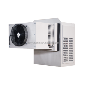 XueYun 3HP Monoblock Condensing Unit for Cold Room Storage, -25C
