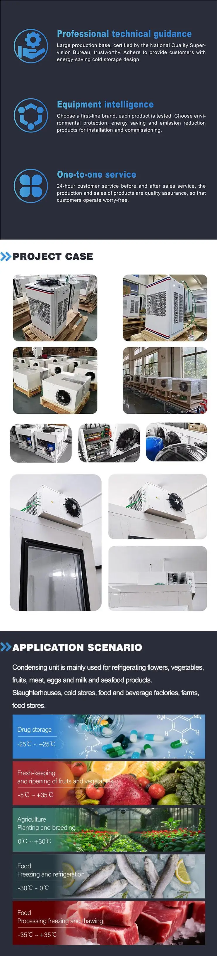 Small Refrigeration Monoblock Unit for Walk-in Cooler/Cold Room Condensing Unit 100kg 1 Ye
