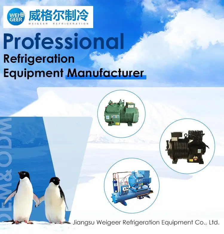 Open Type Blast Freezer Condensing Unit Semi-Hermetic Compressor Refrigeration for Cold Ro