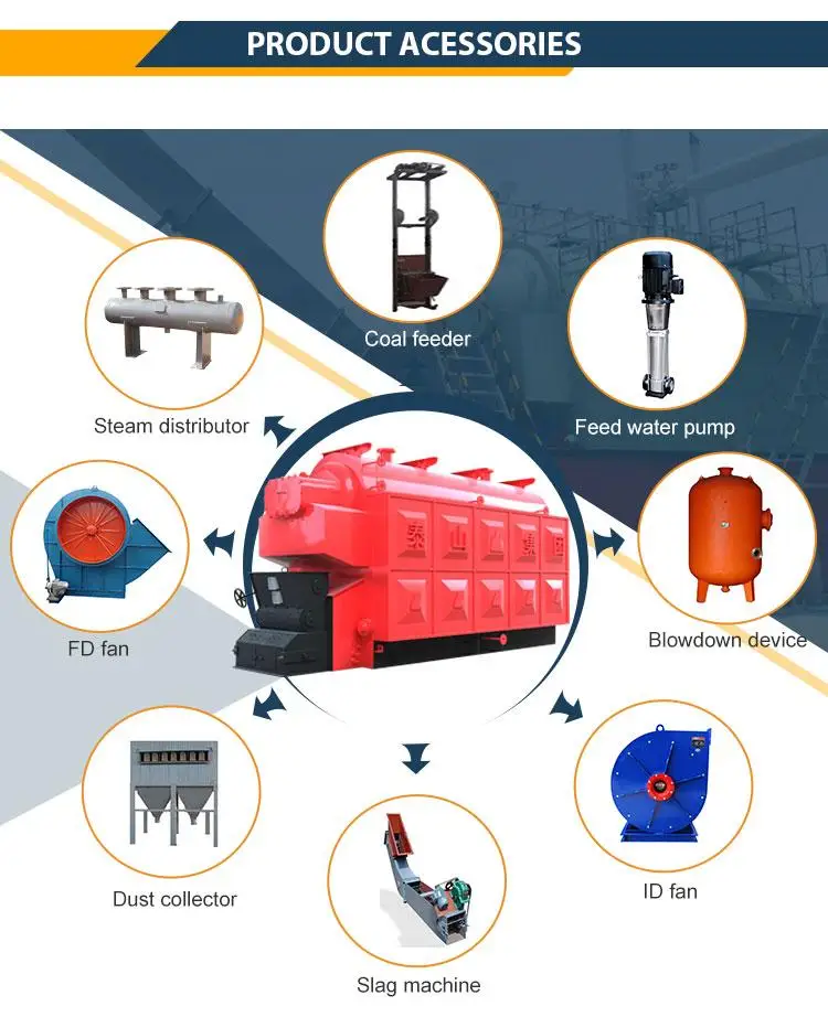 High Efficiency 6 Ton Natural Circulation Fire Tube Horizontal Automatic Coal Fired Steam 