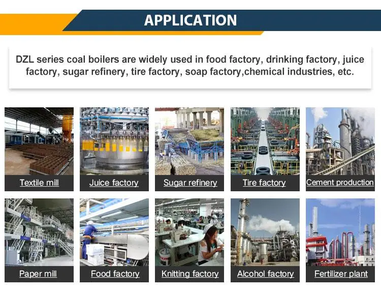 High Efficiency 6 Ton Natural Circulation Fire Tube Horizontal Automatic Coal Fired Steam 