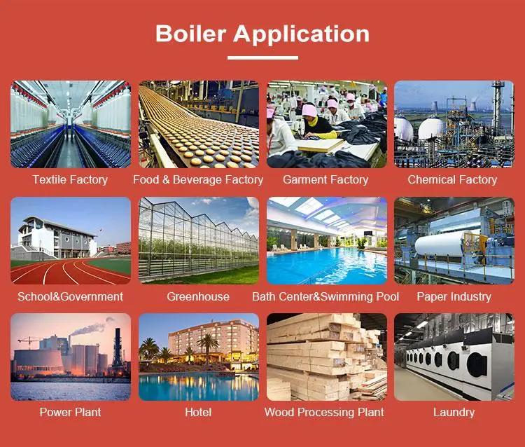 Industrial 100 kg -1000kg Capacity Gas Oil Steam Boiler for Rice Mill