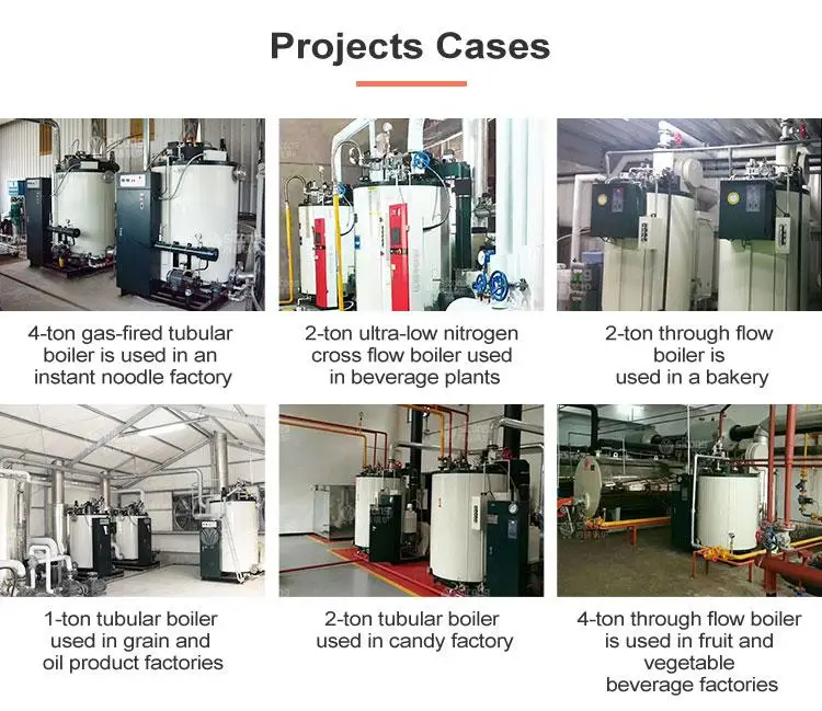 Industrial 100 kg -1000kg Capacity Gas Oil Steam Boiler for Rice Mill