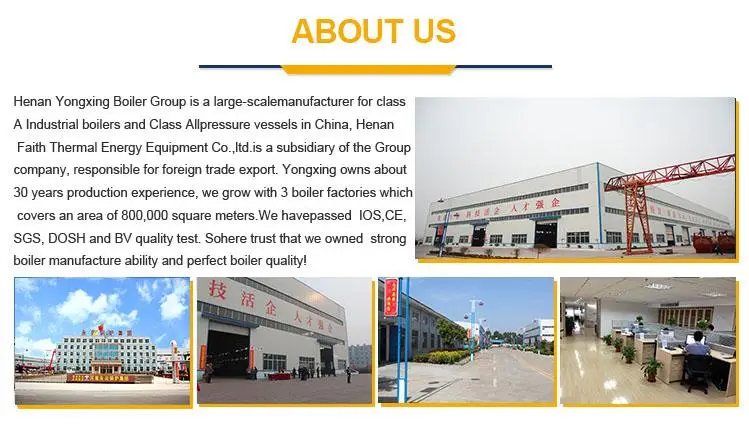Faith Thermal Energy Equipment Vertical Water Tube Industrial Steam Boiler Manufacturer Lo