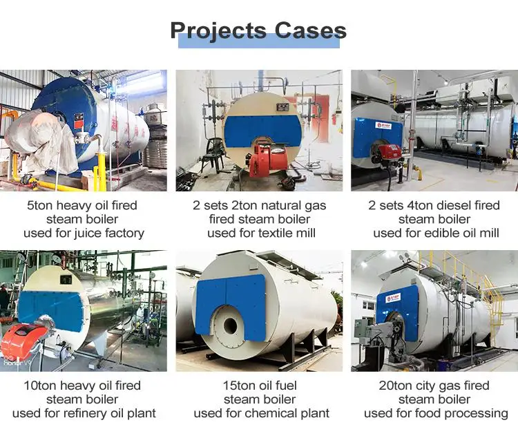Ripple Furnace Gas 3-ton Natural Gas Boiler Biogas Steam Generator