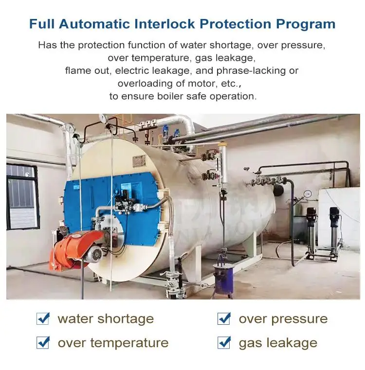 Ripple Furnace Gas 3-ton Natural Gas Boiler Biogas Steam Generator