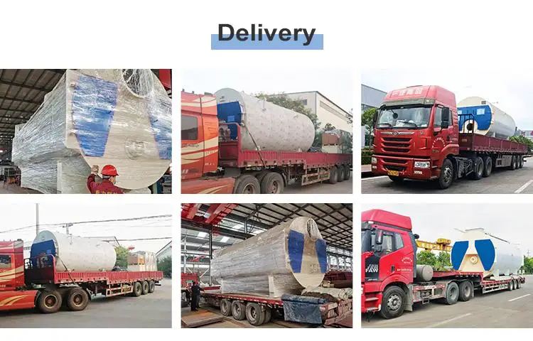 Ripple Furnace Gas 3-ton Natural Gas Boiler Biogas Steam Generator