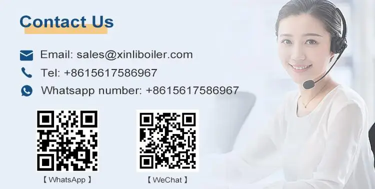 Ripple Furnace Gas 3-ton Natural Gas Boiler Biogas Steam Generator