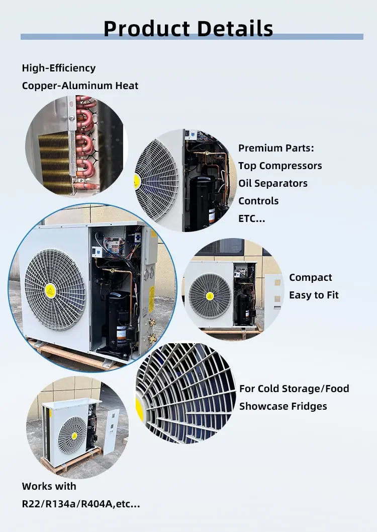 This Box-type Condensing Unit Integrates a Powerful Compressor, Offering a Compact Solutio