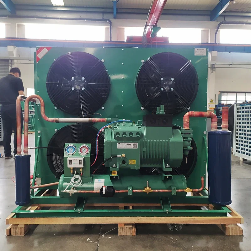 Air Cooled Refrigeration Unit Cold Storage Core Components Including Motor Gear Cold Room 