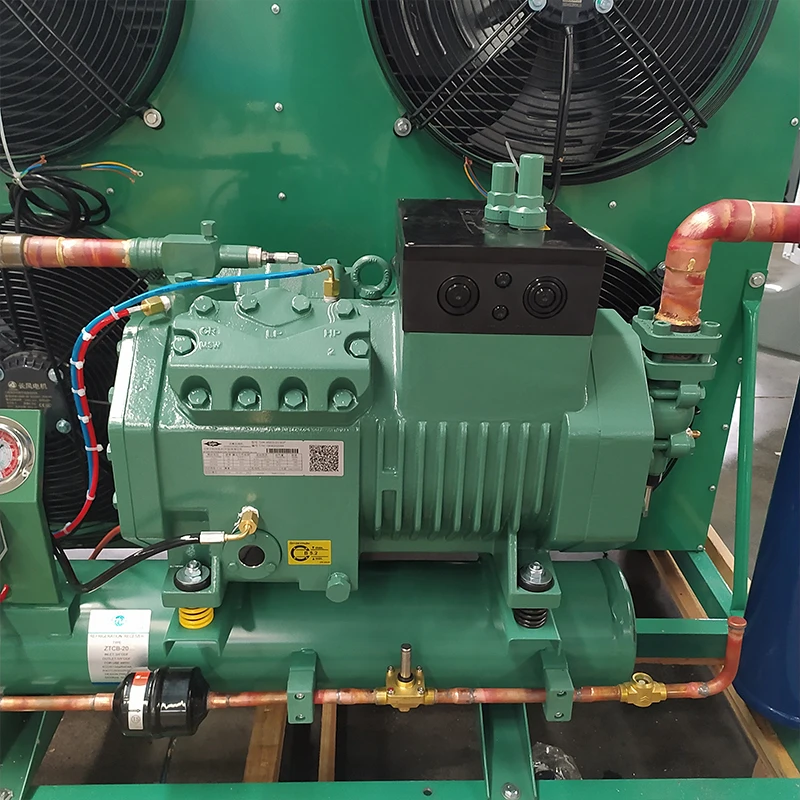Air Cooled Refrigeration Unit Cold Storage Core Components Including Motor Gear Cold Room 
