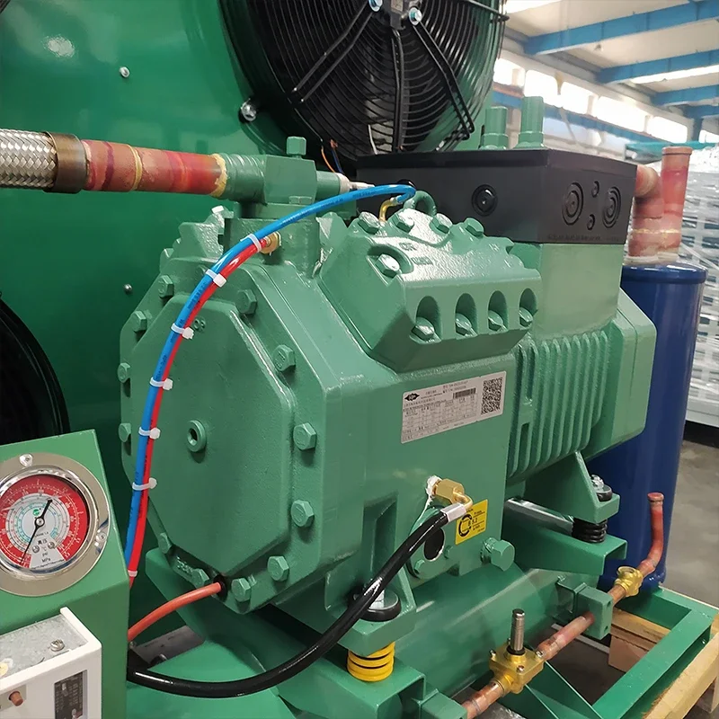 Air Cooled Refrigeration Unit Cold Storage Core Components Including Motor Gear Cold Room 