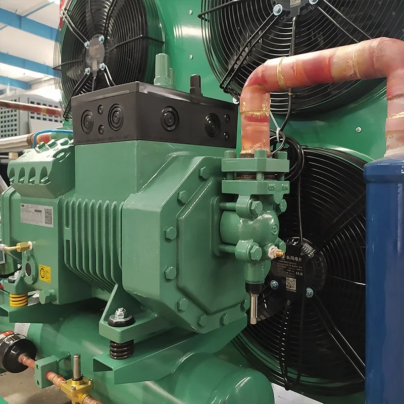 Air Cooled Refrigeration Unit Cold Storage Core Components Including Motor Gear Cold Room 