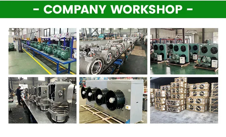 50Hz 60Hz 220V 380V R404A R22 5HP Semi-Hermetic Compressor Condensing Unit Pump Motor Auto