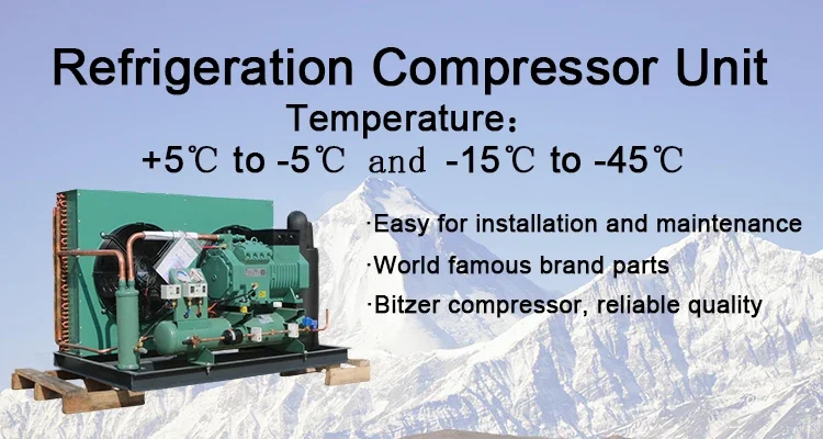 BITZER Refrigerator Condenser Freezer Refrigeration Unit Condensing Unit Price Air Cooled 
