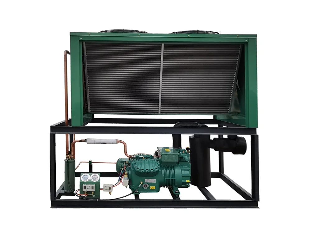 BITZER Refrigerator Condenser Freezer Refrigeration Unit Condensing Unit Price Air Cooled 