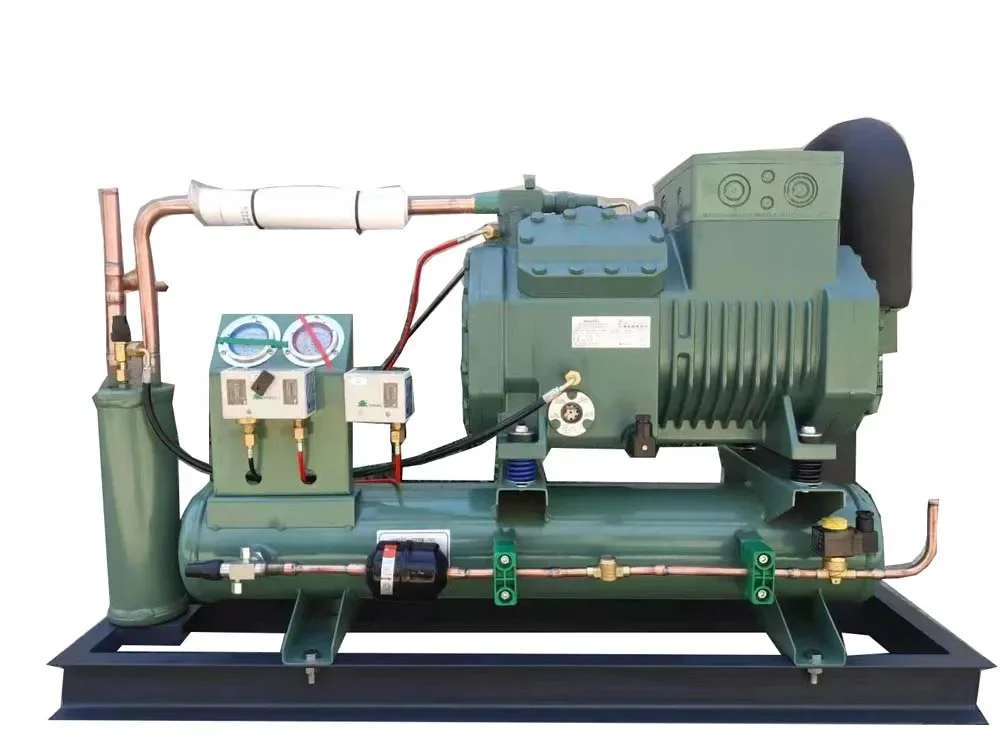 BITZER Refrigerator Condenser Freezer Refrigeration Unit Condensing Unit Price Air Cooled 