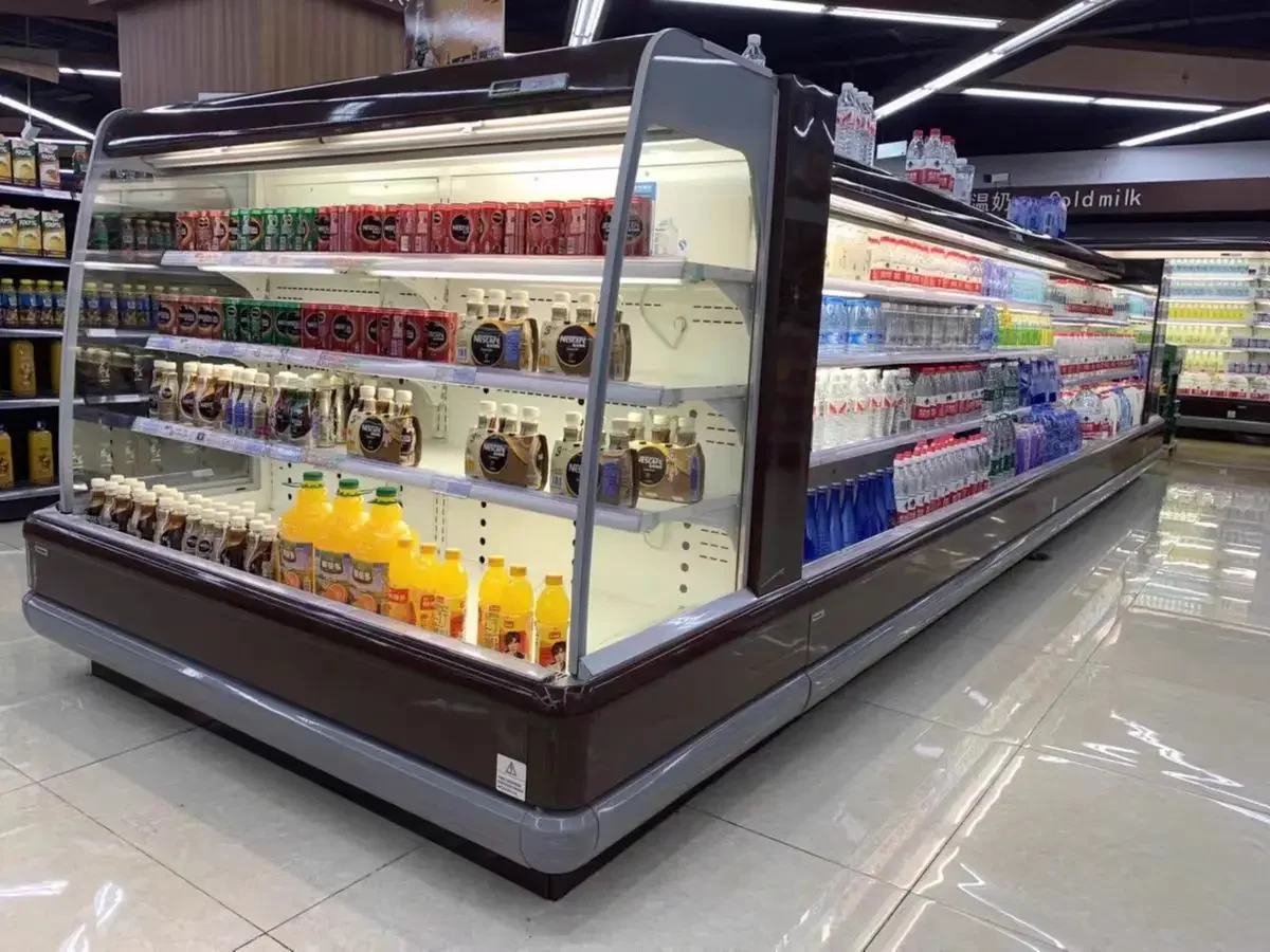 BITZER Refrigerator Condenser Freezer Refrigeration Unit Condensing Unit Price Air Cooled 