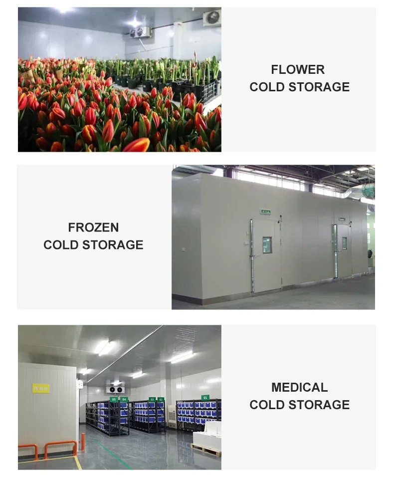 Unit Condensation with 3HP Scroll Compressor ZB21KQE Box Integrated Condensing Unit for Co
