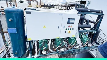 Rack Condensing Unit Multi Compressor Refrigeration System for Cold Room