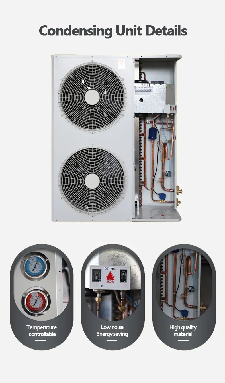 3hp 6hp 8hp 20hp Air Cooled Compressor Condensing Unit for Cold Room Cooling System Refrig