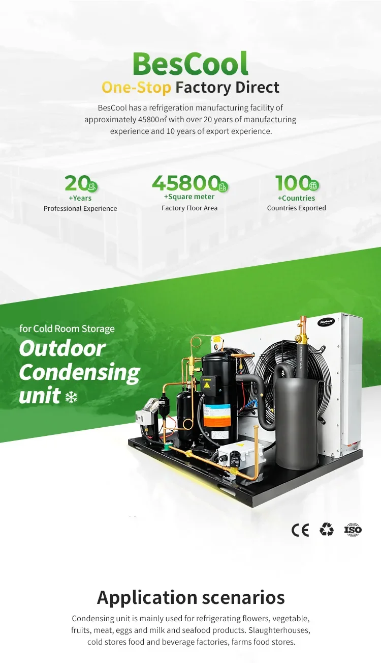 Cold Room Invotech Compressor Refrigeration Unit R22 R404A Condenser Customized Freezer Co