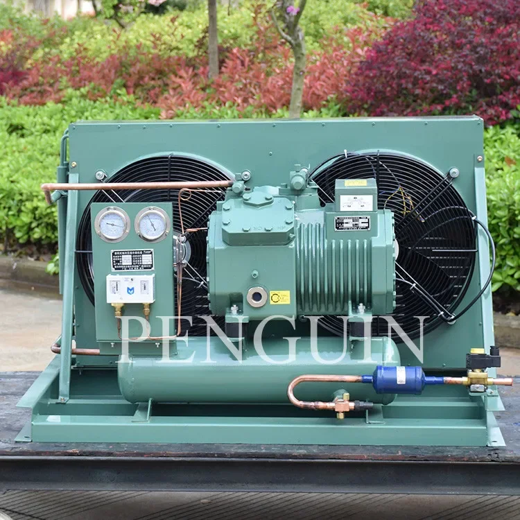 3hp 4hp 5hp 6hp 7.5hp 10hp 12hp Refrigeration Condenser Unit Air Cooled Freezer Condensing