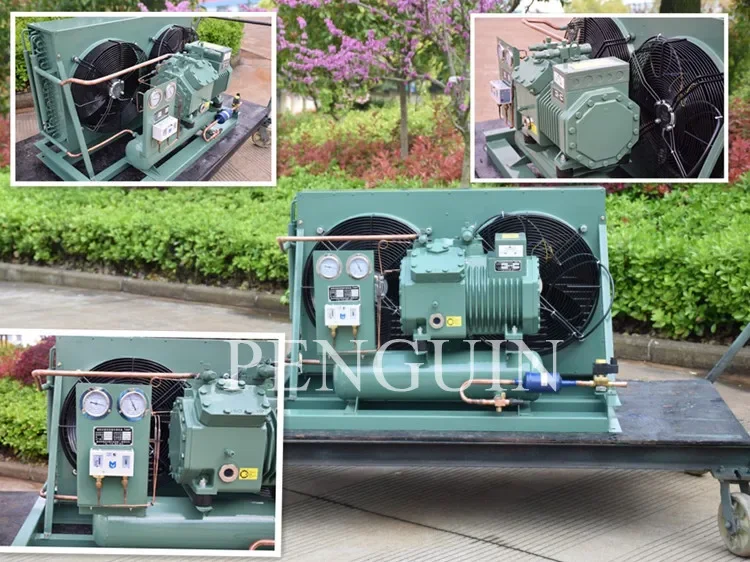 3hp 4hp 5hp 6hp 7.5hp 10hp 12hp Refrigeration Condenser Unit Air Cooled Freezer Condensing
