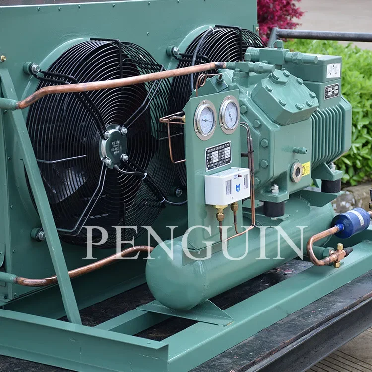3hp 4hp 5hp 6hp 7.5hp 10hp 12hp Refrigeration Condenser Unit Air Cooled Freezer Condensing