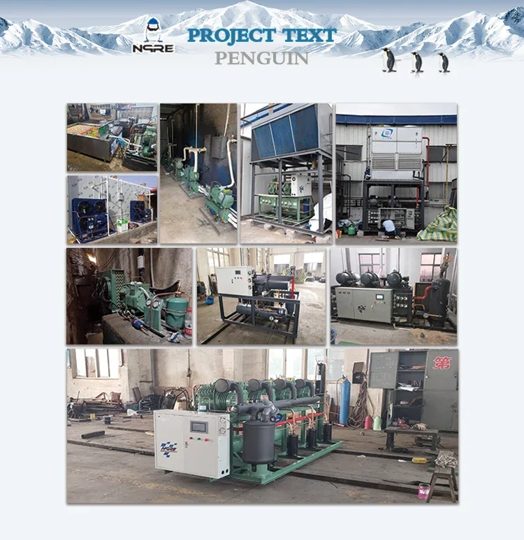 3hp 4hp 5hp 6hp 7.5hp 10hp 12hp Refrigeration Condenser Unit Air Cooled Freezer Condensing