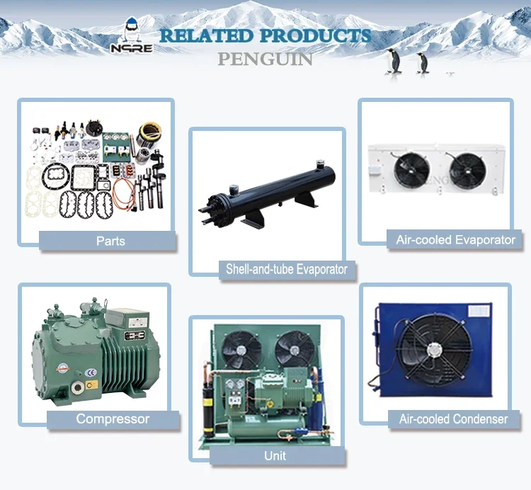 3hp 4hp 5hp 6hp 7.5hp 10hp 12hp Refrigeration Condenser Unit Air Cooled Freezer Condensing