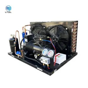 1HP-2HP Custom Condensing Unit, Emerson Compressor, 380V 3-Phase