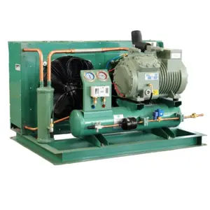 5HP Freezer Condensing Unit, Bitzer Semi-Hermetic, -30C, 220V/380V