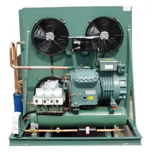 Bitzer 9HP-20HP Low Temperature Condensing Unit, -45C, 220-440V