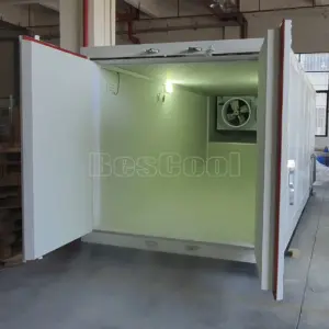 Feet Shipping Freezer