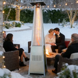 Patio Heater, Stainless, Steel, 48000, BTU